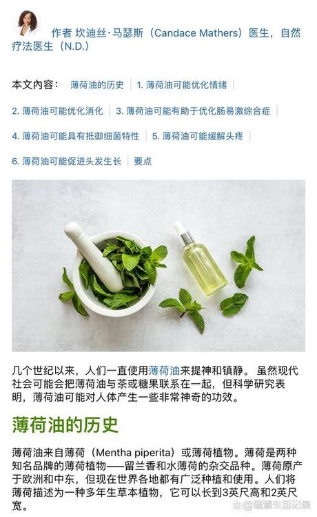 薄荷油多少钱一斤，薄荷油多少钱一斤？揭秘市场行情与购买建议